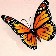 Mariposa Monarca Mariposas Monarca Dibujo Cuadros De Mariposas Dibujos De Mariposas