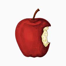 Red Ripe Bitten Apple Vector Free Image By Rawpixel Com Sasi Vector Vectorart Healthyfood Foodanddrink Foo Apple Vector Apple Illustration Vector Free