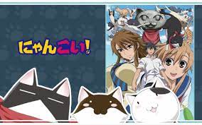 猫好きにはたまらないアニメ【にゃんこい!】2期が来る!?あらすじと評価 - あにZねす