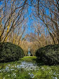 The geography and climate of the commonwealth are shaped by the blue ridge. 40 Stunningly Beautiful Virginia State Parks To Explore This Year