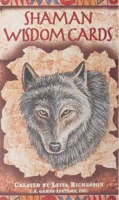 5 shield of galakrond 2. Shaman Wisdom Cards Tarot Cards 65 Card Deck Richesson Leita Amazon De Bucher