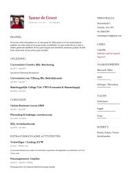 Cv Template Voor Studenten Download 5 Gratis Sjablonen