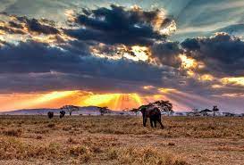 Welcome to my portfolio of african landscape photography. A Visual Journey Across African Landscapes Landscape News
