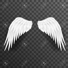 Black And White Wings Background Angel White Wings Bird Fly 3d Realistic Design Decoration Element Transparent Background Vector Illustration A White Wings Vector Illustration Vector Images