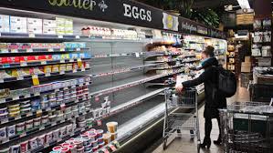 I konw my own eggs are just fine sitting out on the counter for a few weeks or in the fridge for a few months. Chickens That Lay Organic Eggs Eat Imported Food And It S Pricey Wjct News