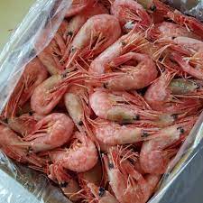 The shrimp will bend easily when thawed. Coldwater Prawns Pandalus Borealis Norgesfoods