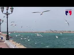 عاصي الحلاني ضلي معي اغاني قديمة لعاصي الحلاني. ÙŠØ§ Ø·ÙŠÙˆØ± Ø¨Ø§Ù„Ø¹Ø§Ù„ÙŠ Ø­Ù†Ùˆ Ø¹Ù„Ù‰ Ø­Ø§Ù„ÙŠ Ø¹Ø§ØµÙŠ Ù…Ù„Ø§ÙŠÙŠÙ† Ø§Ù„Ù…Ø´Ø§Ù‡Ø¯Ø§Øª Ø­Ø§Ù„Ø§Øª ÙˆØ§ØªØ³