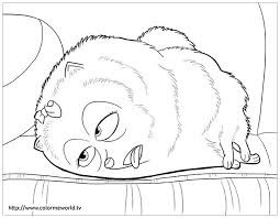 You'd snuggle down into another world with your coloring books and crayons, and time would pass almost unnoticed. The Secret Life Of Pets To Color For Children The Secret Life Of Pets Kids Coloring Pages