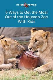 5 Ways To Get The Most Out Of The Houston Zoo With Kids In 2021 Houston Zoo Kids Kids Things To Do