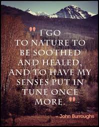 Nature Heals Northwest Tripfinder Nature Quotes Inspirational Quotes Words Of Wisdom