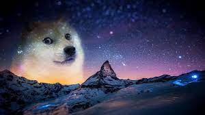 Dog Meme 1080p Wallpaper Hdwallpaper Desktop Doge Doge Meme Top Hd Wallpapers