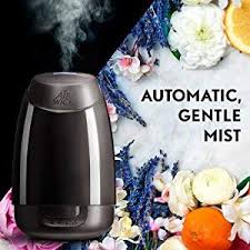 (2 pack) air wick lavender & almond blossom essential mist diffuser oil refills. Amazon Com Air Wick Essential Mist Essential Oil Diffuser Refill Lavender Almond Blossom 3 Count Air Freshener Health Household