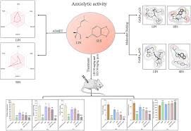 Image result for Multidentia sp. A