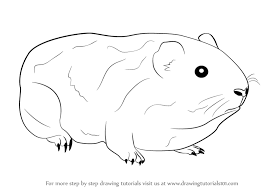 Learn How To Draw A Guinea Pig Farm Animals Step By Step Drawing Tutorials Choose your favorite cute pig drawings from millions of available designs. to draw a guinea pig farm animals