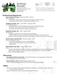 Pin Oleh Jobresume Di Resume Career Termplate Free Free Resume Samples Resume Dan Resume Software