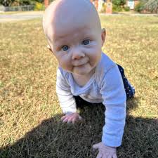 02 6.0 ls siezed up oild looks good computer and harness $300