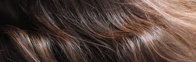Couleur De Cheveux Marron Coloration Caramel Broux Miel Chatain