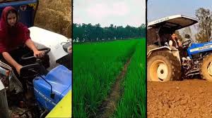 MMS लीक के बाद पंजाब की Tractor Wali Ladki का नया वीडियो आया सामने, जानें  उप्पल फार्म गर्ल को खेती करते कैसे मिली पॉपुलैरिटी | Punjabi Tractor Girl  After the MMS was