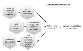 Capital humano secretaría de administración y finanzas. Componentes Del Capital Humano Fuente Adaptado De Los Autores De Download Scientific Diagram
