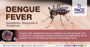 Image result for Dengue