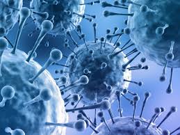 Image result for Influenza