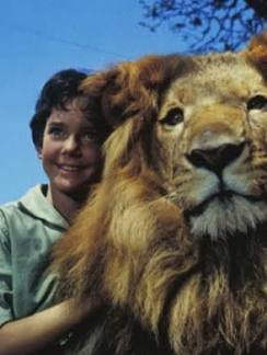 images?q=tbn:ANd9GcQxf_aQacN6HSreWPOfbrN