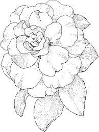 Image Result For How To Draw Camellia Flower Coloring Pages Drawings Art Journal