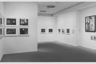 Bildergebnis für Robert Flynt