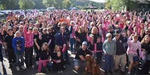 22nd Annual Community Walk for Breast Cancer