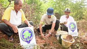 Jabatan perhutanan perak tumpaskan aktiviti seludup kayu gaharu aksi siti kasim dihalang masuk, bertekak dengan pegawai jabatan perhutanan kayu gaharu asli tebang pokok gaharu di manong renjer. Jabatan Perhutanan Negeri Terengganu Bersama Wakil Penduduk Kg Bari Kecil Setiu Terengganu Youtube