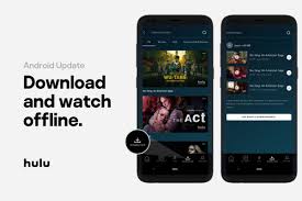 Check out this guide to watching punja. Hulu S Offline Downloads Have Arrived On Android The Verge