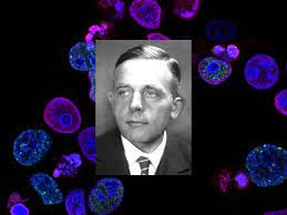 Otto Warburg's Jewish Identity | Jewish Book Council
