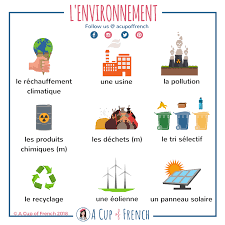 Membership A Cup Of French French Vocabulary French Learning Books French Flashcards