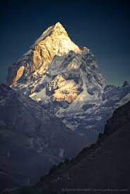 Himalayan Gold Pharilapche 6 073 M Nature Beautiful Nature Amazing Nature