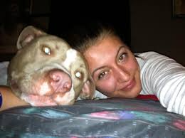 Our male pitbull mix Caine disappeared he was last seen at military an  skillen