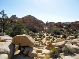 Check spelling or type a new query. Datei Joshua Tree Nationalpark Hidden Valley Nature Trail P4140421 Jpg Wikipedia