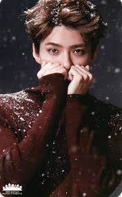 Pin De Julia Bass Em Exo Sehun Chanyeol Baekhyun