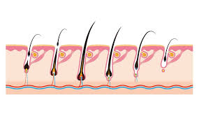 Sezonul costumelor de baie si al hainelor mini este in plina desfasurare, asa ca fiecare femeie isi doreste sa arate cat mai bine. De Ce Nu Este Eficienta Epilarea Definitiva Gabriel Ursan