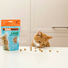The natural balance dry cat food sources its meat proteins from salmon, chicken, duck, venison, or turkey. Feline Natural To Celebrate The Launch Of Feline Natural Facebook