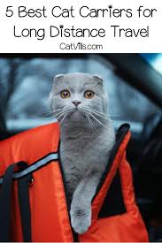 We did not find results for: Top 5 Best Cat Carriers For Long Distance Travel Cat Carrier Cats Portable Dog Kennels