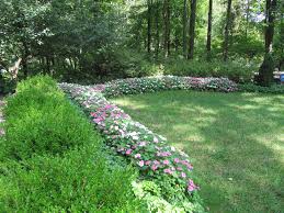 Pin On Garden Ideas