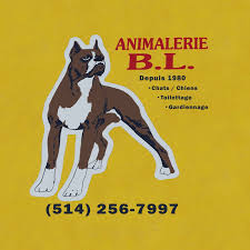 Pet friendly hotels in vaudreuil; Centre D Animaux Nature Home Facebook