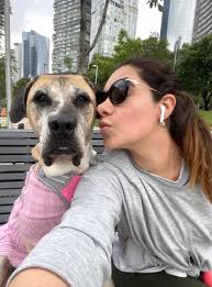 Short term pet-friendly rentals in Vancouver?