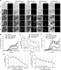 Is the nicotine rush really worth the danger to the. Video Based Kinetic Analysis Of Calcification In Live Osteogenic Human Embryonic Stem Cell Cultures Reveals The Developmentally Toxic Effect Of Snus Tobacco Extract Sciencedirect