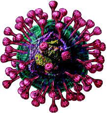 Epidemiological And Genetic Analysis Of Severe Acute Respiratory Syndrome The Lancet Infectious Diseases
