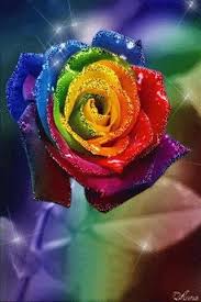 Rose Flower Multicolor Glitter For Android Screenshot Rainbow Flowers Rainbow Roses Colorful Roses