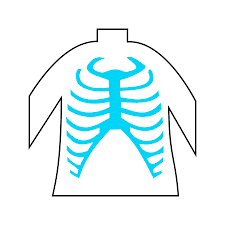 The pyloric sphincter is a muscular valve that opens to allow food to pass from the. Thorax Royalty Free Stock Illustrations And Vectors Stocklib