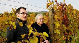 Max stiegl, purbach am neusiedler see. Vinaria Osterreichs Zeitschrift Fur Weinkultur Gut Purbach Winzer Und Anwalt Hans Bichler 1948 Bis 2020