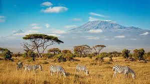 Pin By Saykhar On 33 In 2021 Classic View Kilimanjaro Shadow
