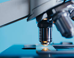 Sigma Xi Chapters Awarded Grants To Develop Diversity And Educational Programs